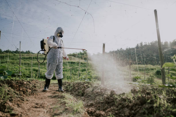 Best Best Pest Control Companies  in Milan, IN
