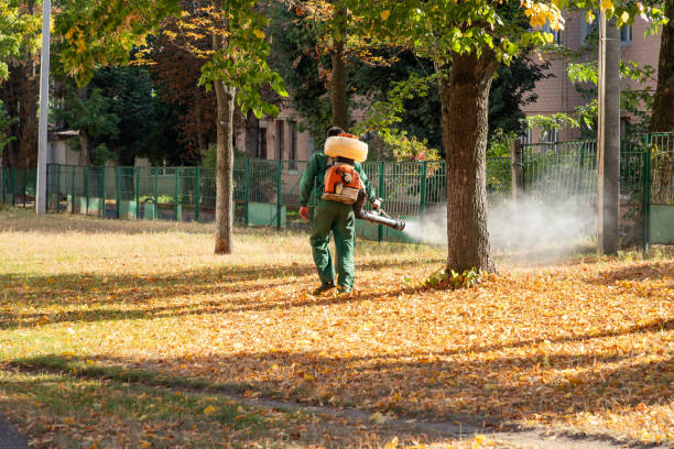 Best Cockroach Control Services  in Milan, IN