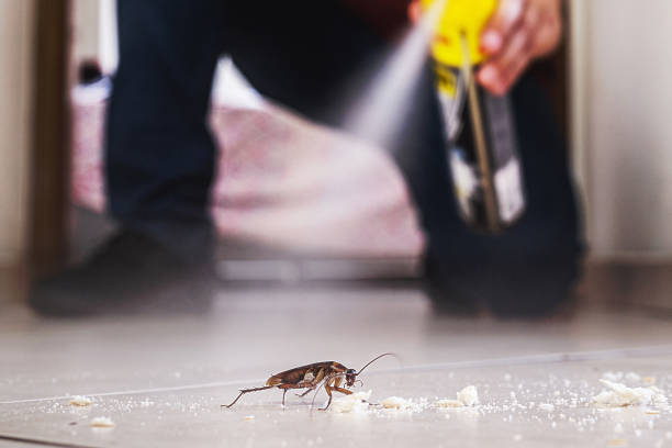 Trusted Milan, IN Pest Control Experts