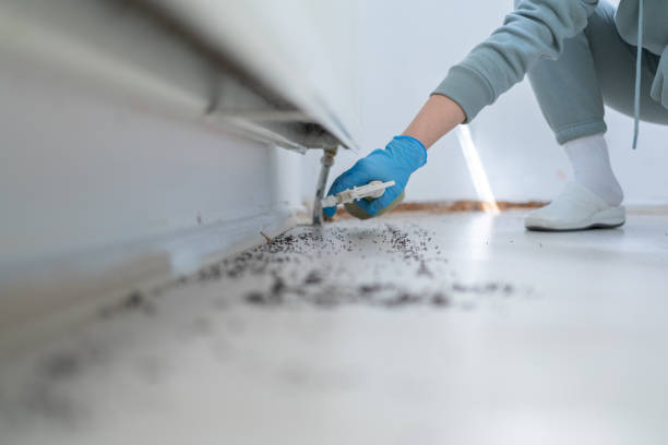 Best Rat Extermination Near Me  in Milan, IN